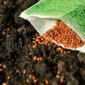 Sementi per giardino